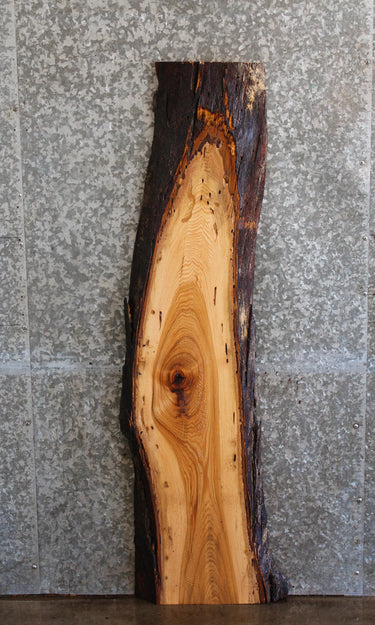 Locust Live Edge Mantel Slab, Floating Wall Shelf Slab 39052